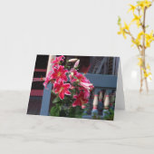 コテージビクトリアンピンクリリー – マーサズヴィネヤード カード (黄色い花)