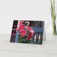 コテージビクトリアンピンクリリー – マーサズヴィネヤード