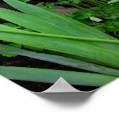 コテージ園 ポスター (角)