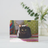 「コテージ心地よい」猫写真 ポストカード (スタンド正面)