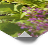 コテージ – 夏の夢 ポスター (角)