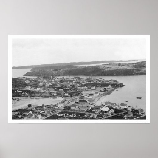 コディアクアラスカエアリアルビュー1920 ポスター (正面)