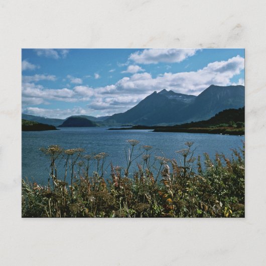 コディアクナショナルワイルドライフリュージ ポストカード (正面)