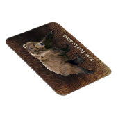 コディアクベアオンカリブファー マグネット (右側)