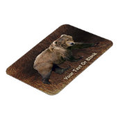 コディアクベアオンカリブファー マグネット (左側)