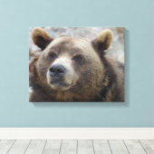 コディアクベアークローズアップ キャンバスプリント (インサイチュ (ウッドフロア))