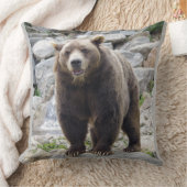 コディアクベアー クッション (ブランケット)