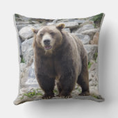 コディアクベアー クッション (裏面)