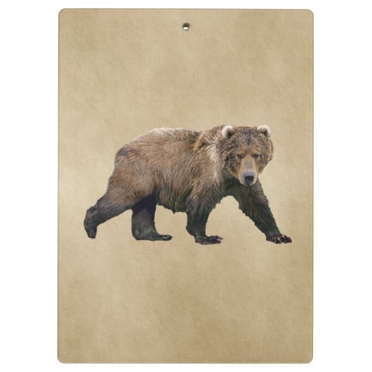 コディアクベアー クリップボード (裏面)