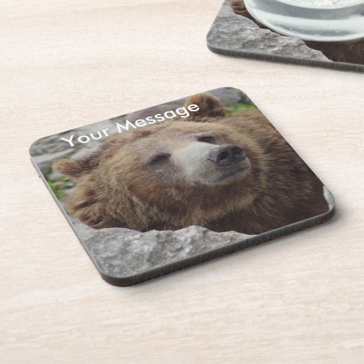 コディアクベアー コースター (左側)