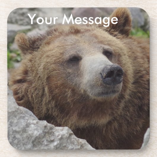 コディアクベアー コースター (正面)