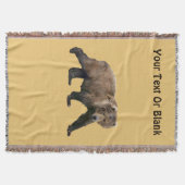 コディアクベアー スローブランケット (正面)