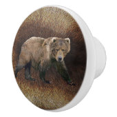 コディアクベアー セラミックノブ (右)