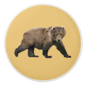 コディアクベアー セラミックノブ (正面)