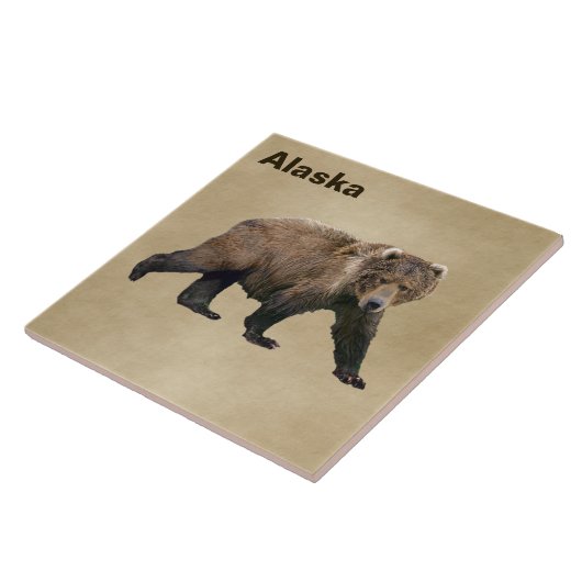 コディアクベアー タイル (側面)