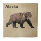 コディアクベアー タイル (正面)