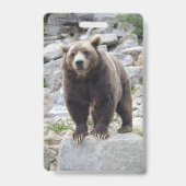 コディアクベアー バッジ (裏面)