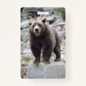 コディアクベアー バッジ (裏面)