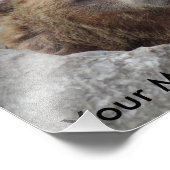 コディアクベアー フォトプリント            (角)