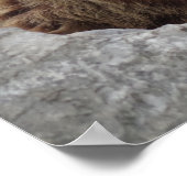 コディアクベアー ポスター (角)