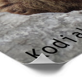 コディアクベアー ポスター (角)