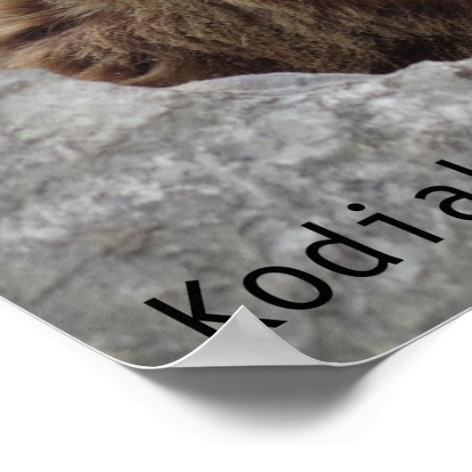 コディアクベアー ポスター (角)