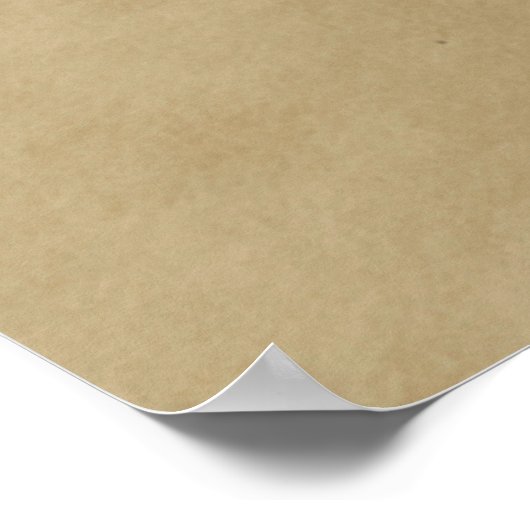 コディアクベアー ポスター (角)