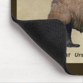 コディアクベアー マウスパッド (コーナー)