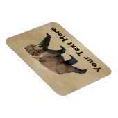 コディアクベアー マグネット (右側)