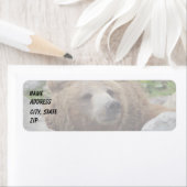 コディアクベアー ラベル (インサイチュ)