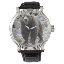 コディアクベアー