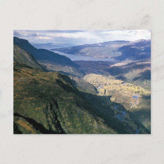 コディアク・キズヤック湾 ポストカード (正面)