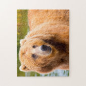 コディアックブラウンベア。 ジグソーパズル (縦)