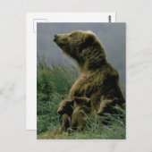 コディアックベアとカッブのはがき ポストカード (正面/裏面)
