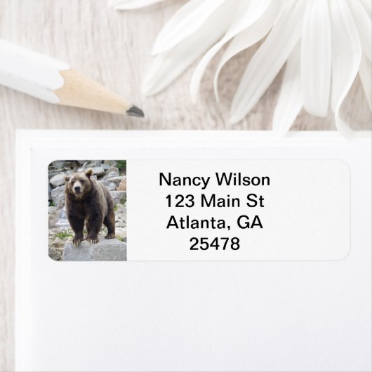 コディアックベア ラベル (インサイチュ)