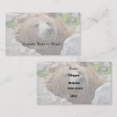 コディアックベア 名刺 (正面/裏面)