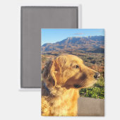 コディ磁石 マグネット (正面/裏面)