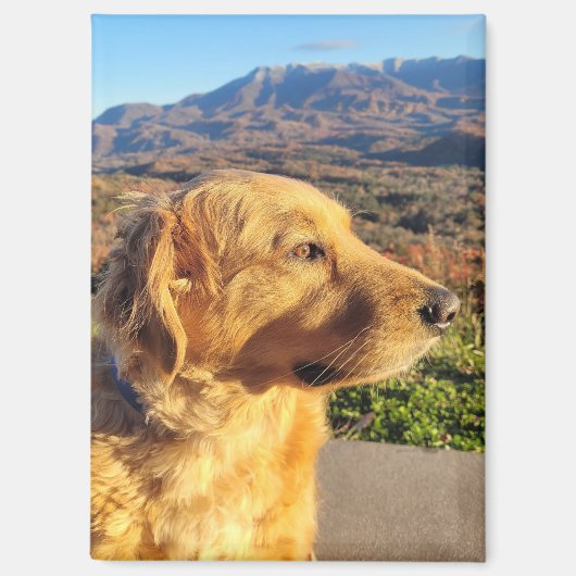 コディ磁石 マグネット (正面)