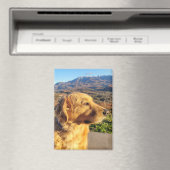 コディ磁石 マグネット (インサイチュ (食洗機))