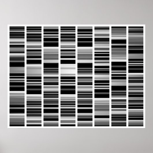 コデックス ポスター (正面)