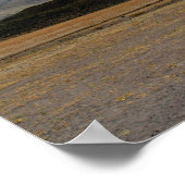 コトパシ ポスター (角)