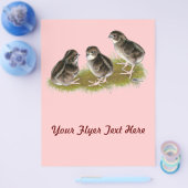 コトリニックスウズメの幼鳥 チラシ (シングル)