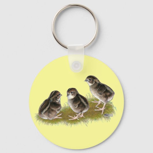 コトリニックスウズラの幼鳥 キーホルダー (正面)