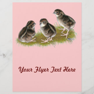 コトルニックスウズイルチックス チラシ