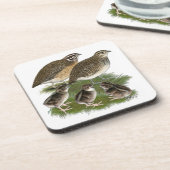 コトルニックスウワイルファミリー コースター (左側)