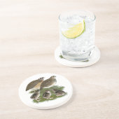 コトルニックスウワイルファミリー コースター (側面)