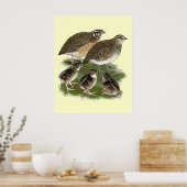 コトルニックスウワイルファミリー ポスター (キッチン)