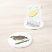 コトルニックスウワイルヘン コースター (側面)