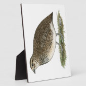 コトルニックスウワイルヘン フォトプラーク (側面)