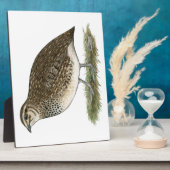 コトルニックスウワイルヘン フォトプラーク (側面)